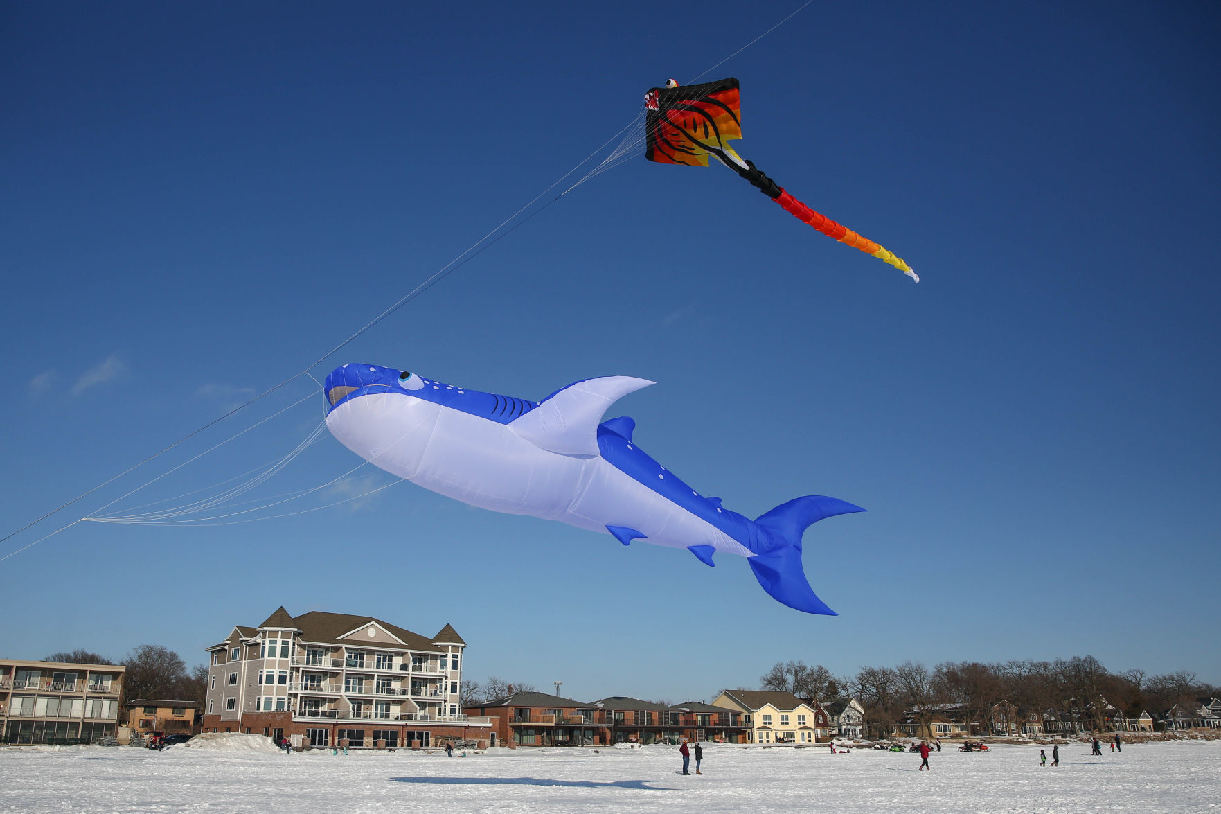Color the Wind kite festival 02-15-2020 (75).jpg
